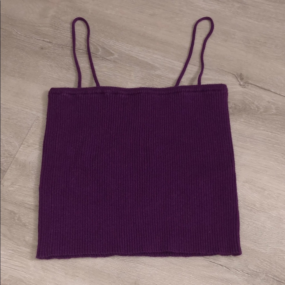 Purple Ribbed Cropped Brandy Melville Straight Top